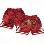 Short Chicago Bulls Special Year of The Tiger Rouge