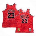Maillot Chicago Bulls Michael Jordan NO 23 Mitchell & Ness Hebru Brantley Rouge