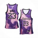 Maillot Los Angeles Lakers LeBron James NO 23 Fashion Royalty Volet
